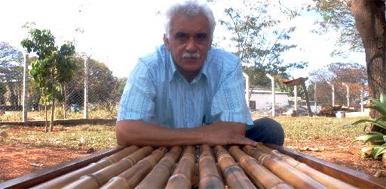 Jaime Almeida � professor de Arquitetura da UnB e estuda o bambu e os usos da planta na decora��o e na constru��o (Marcelo Ferreira/CB )