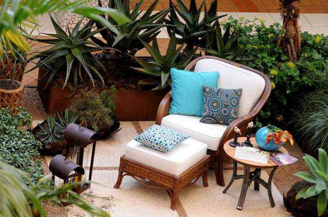 O uso de plantas ajuda a amenizar os efeitos do clima seco O uso de plantas ajuda a amenizar os efeitos do clima seco