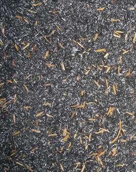 Res�duo de casca de arroz usado na confec��o de material de constru��o (Elisandra Medeiros/ Arquivo Pessoal)