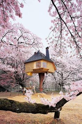 A Kiyoharu Shirakaba Museum, no Japo,  uma das casas contempladas pelo livro