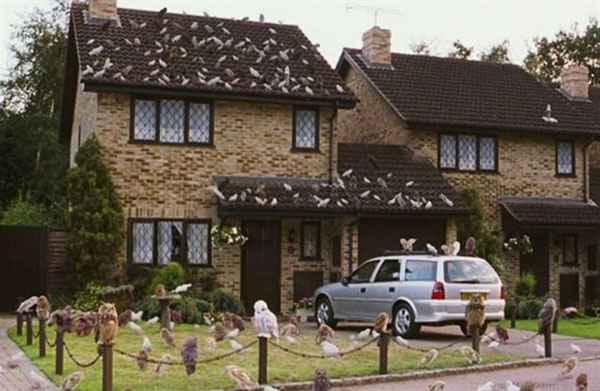 A casa foi usada como fachada para a residência dos Dursleys, tios de Harry Potter  - Reprodução/internet